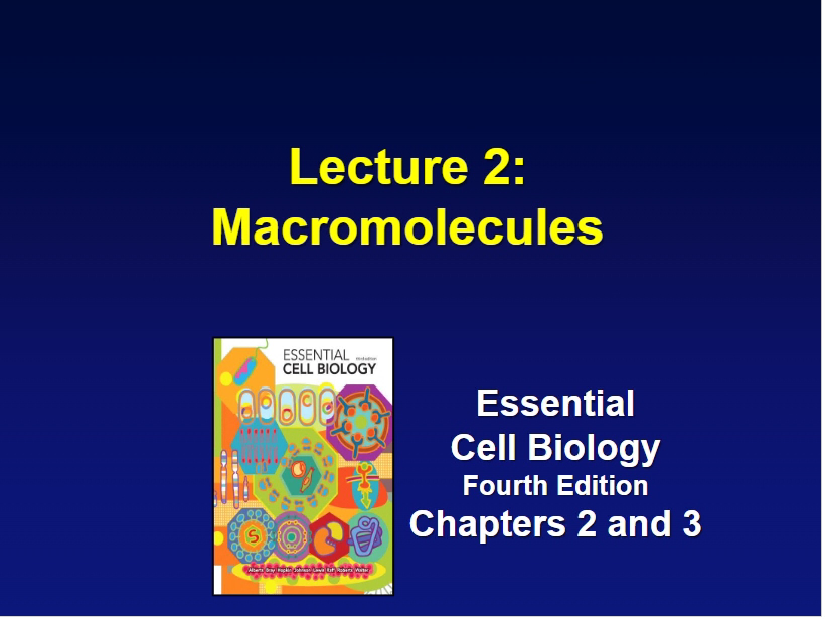 Macromolecules Lecture Three (2017)