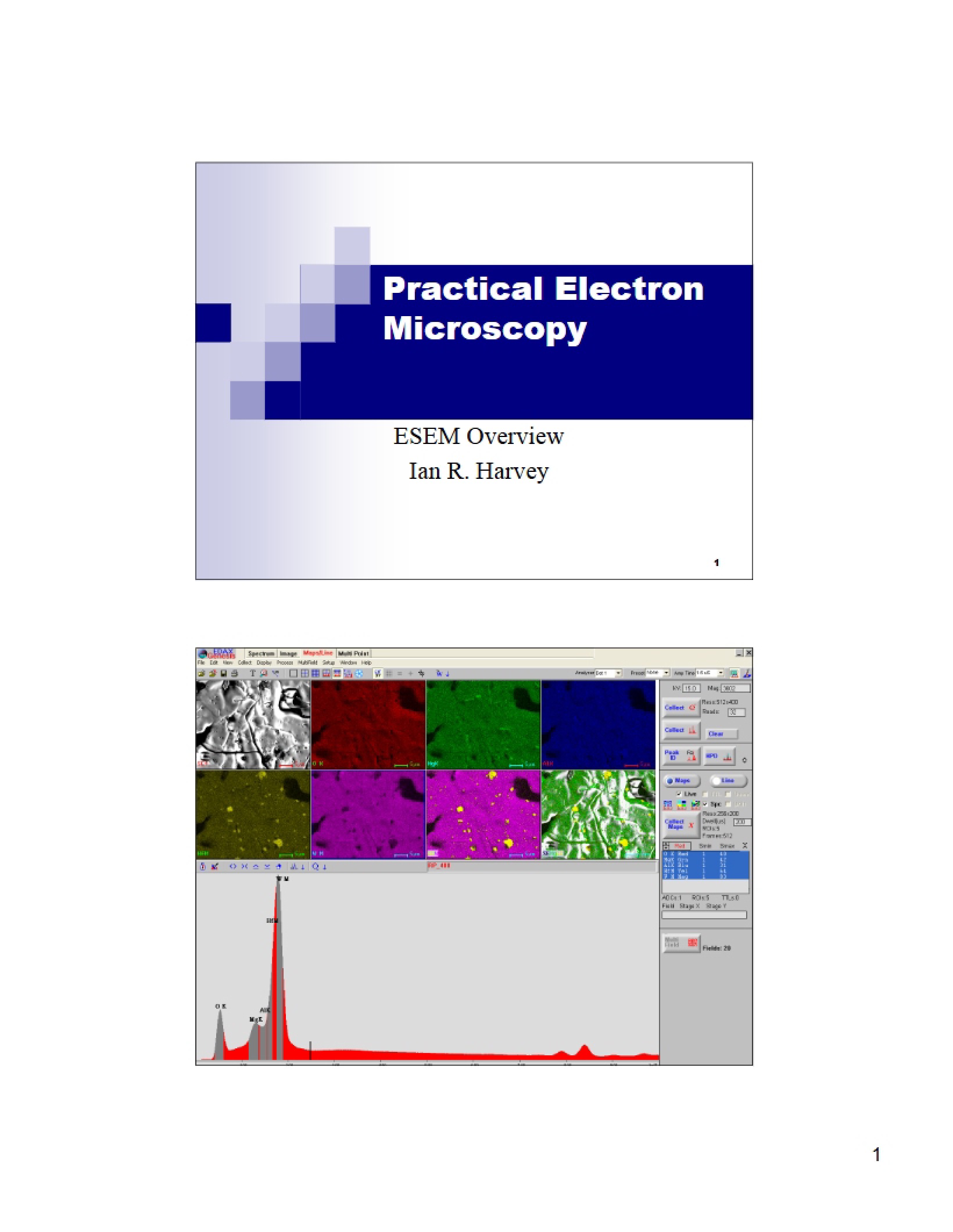 Electron Microscopy in Practice