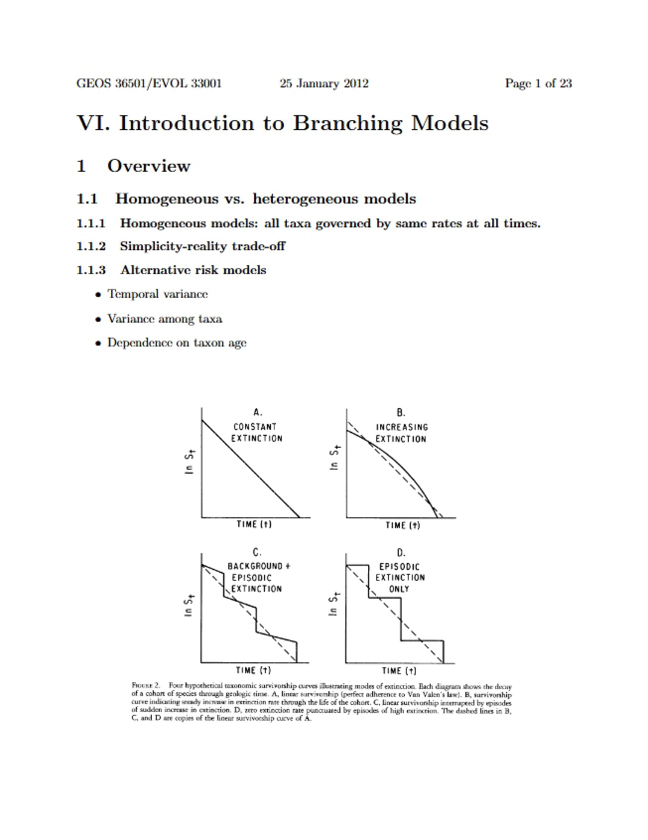 Introduction to Branching Models