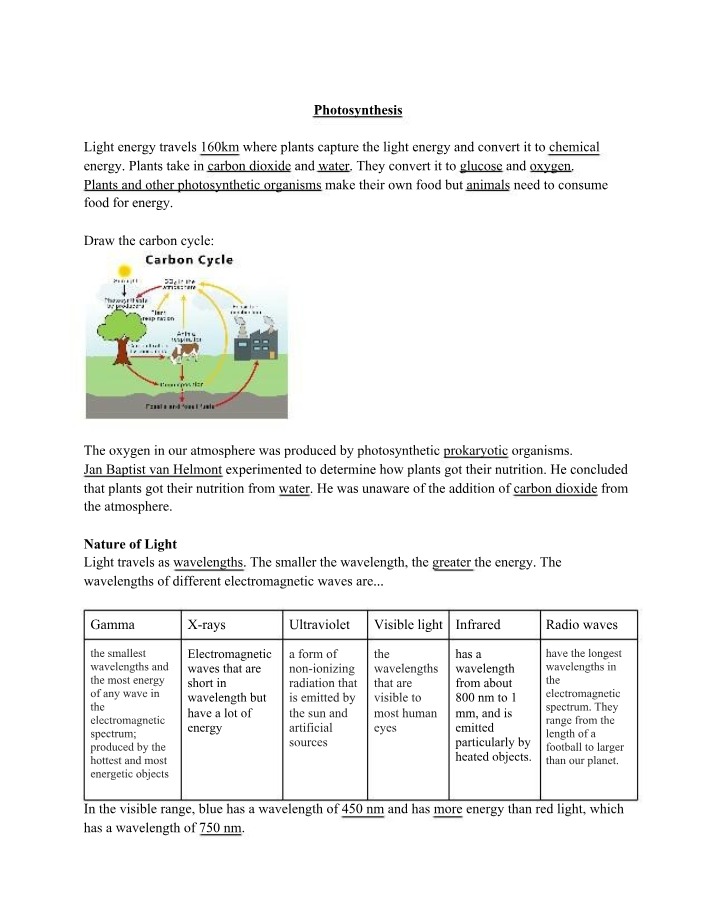 Photosynthesis - Light Energy Conversion