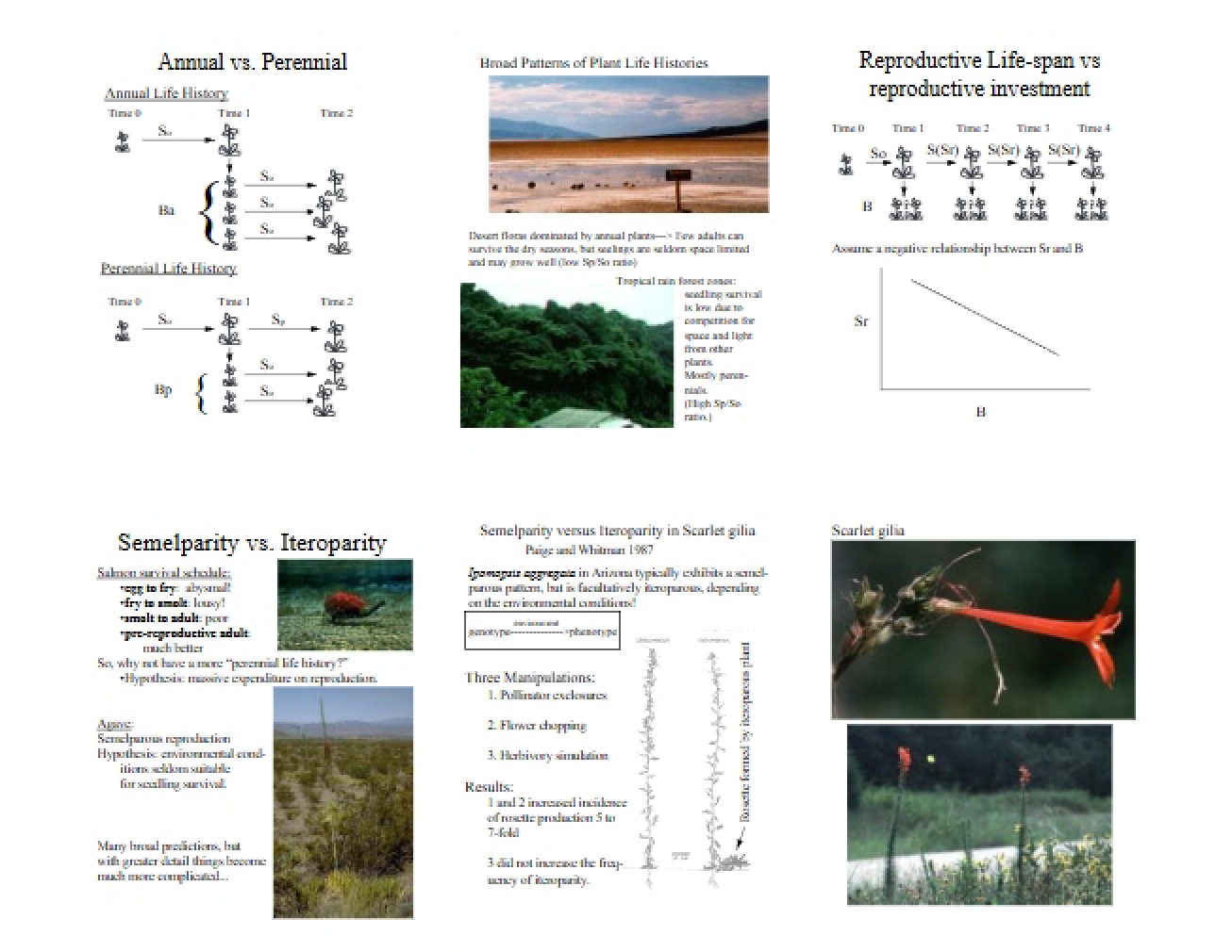 Notes from Ecology Lectures
