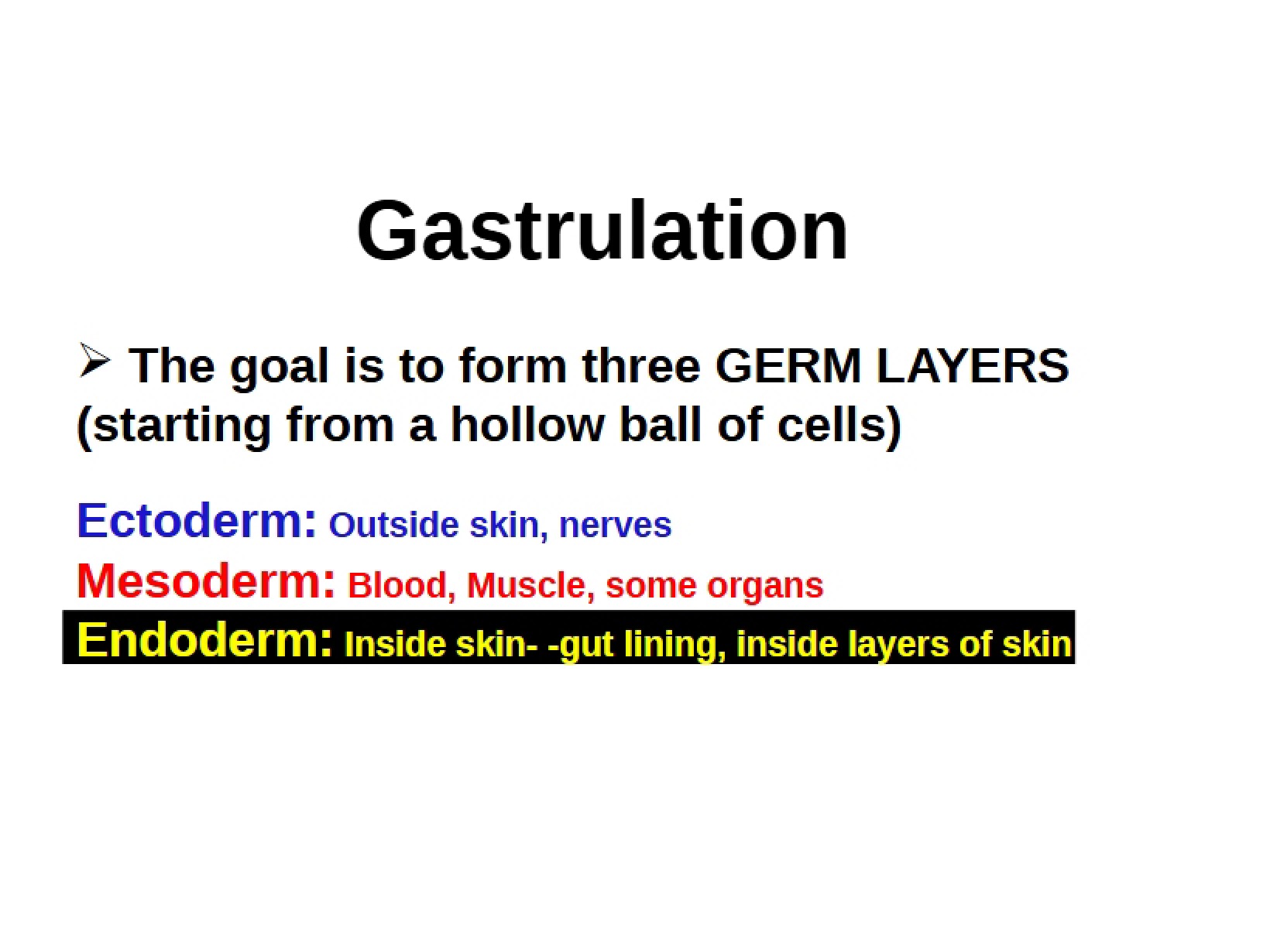 Process of Gastrulation