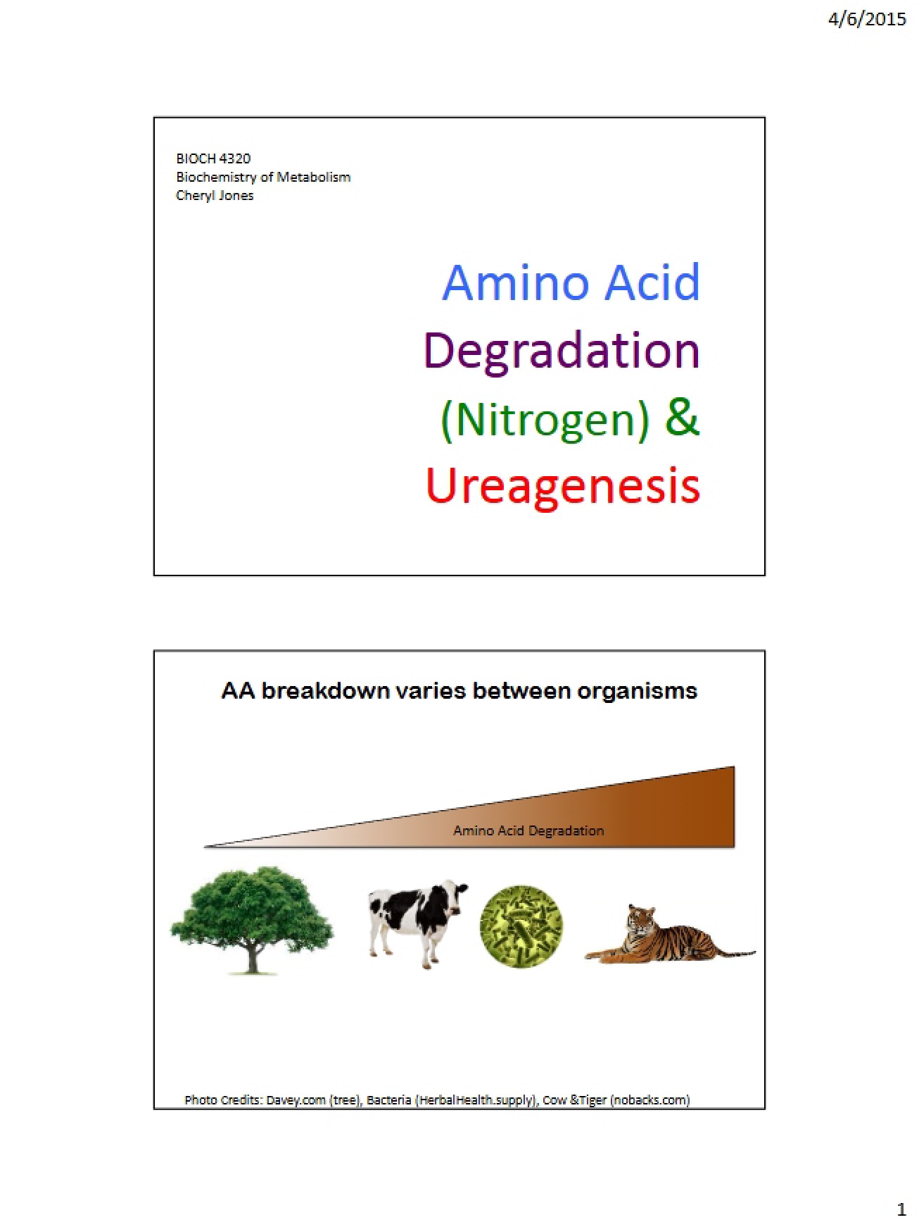 Lecture 1 Ureagenesis & AA Nitrogen Degradation (Part 1)