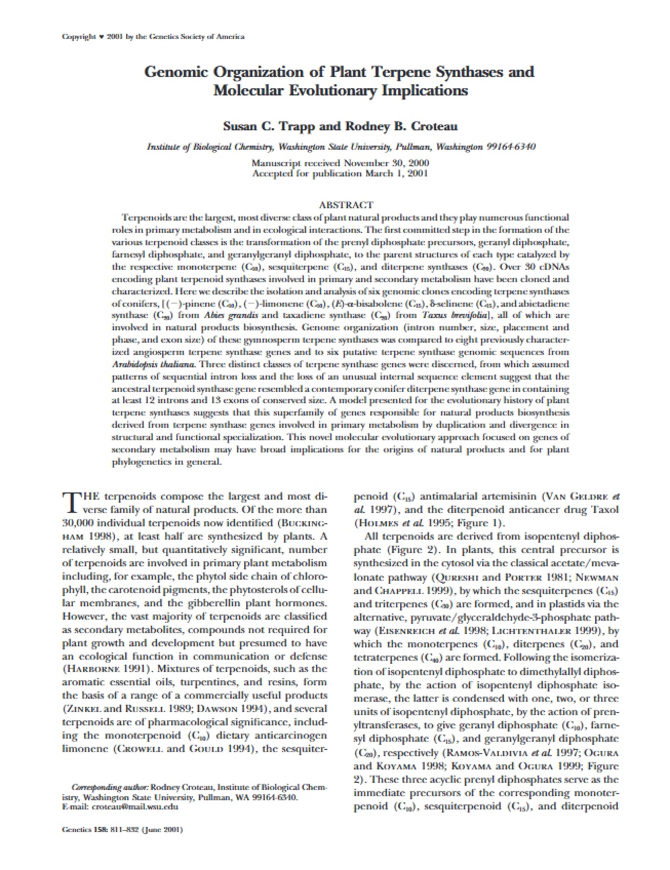 Genomic Organization Plant Terpene Synthases