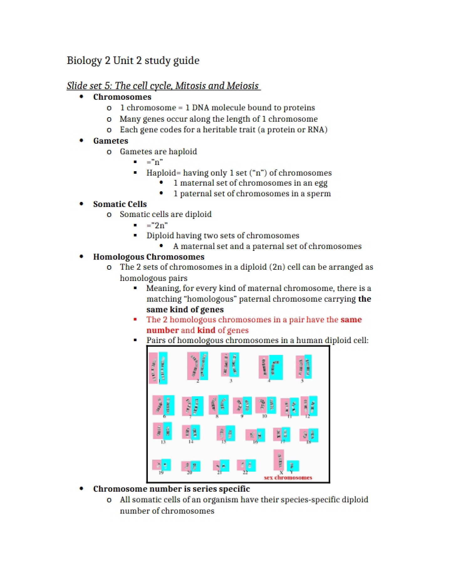 Biological Processes of Cell Division