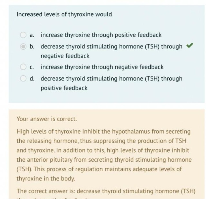 Quiz on Thyroxine Regulation