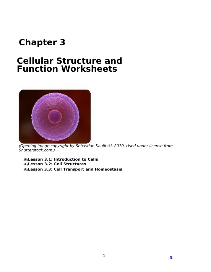 Worksheets on Cellular Structure and Function