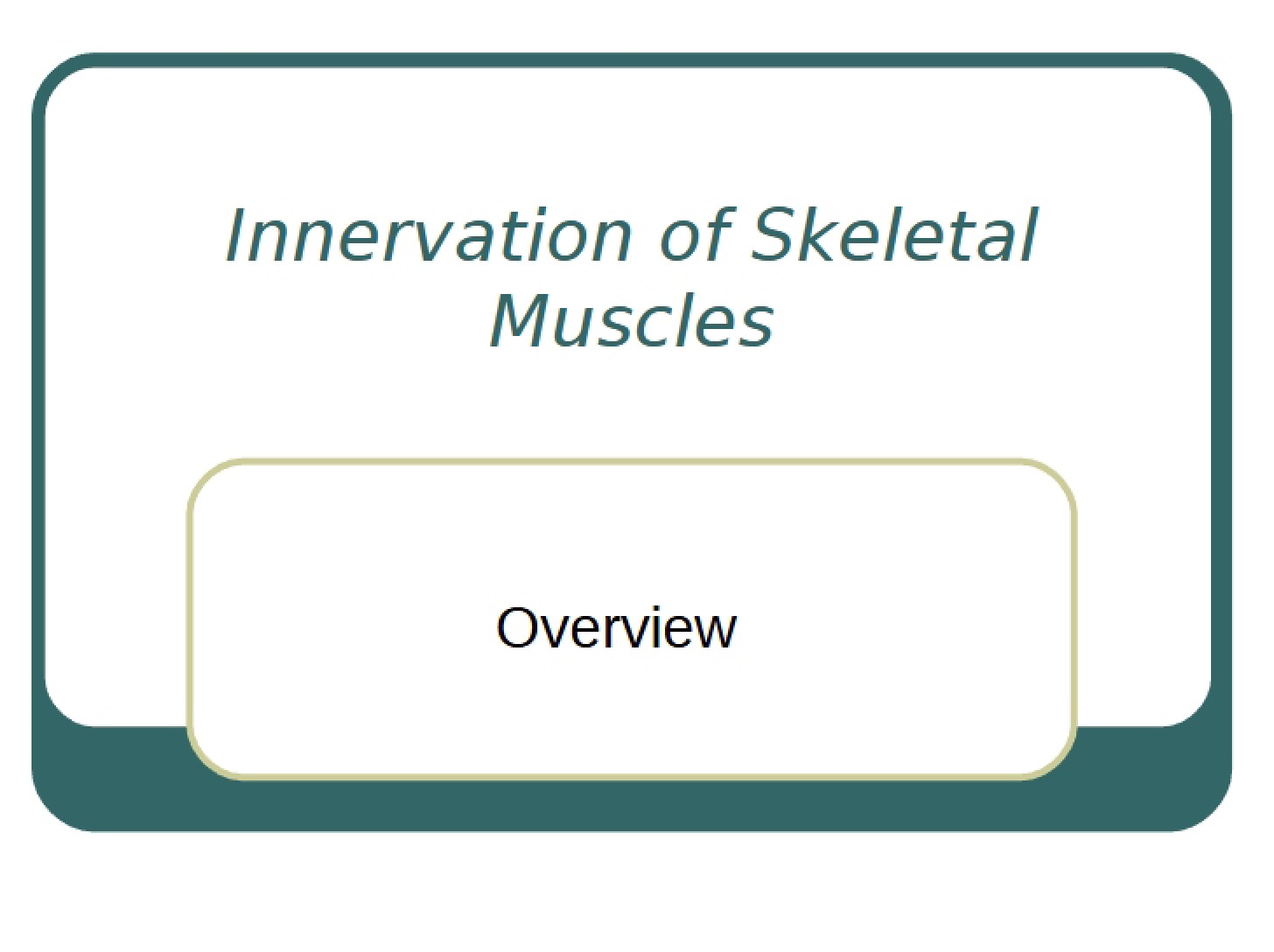 Skeletal Muscle Innervation