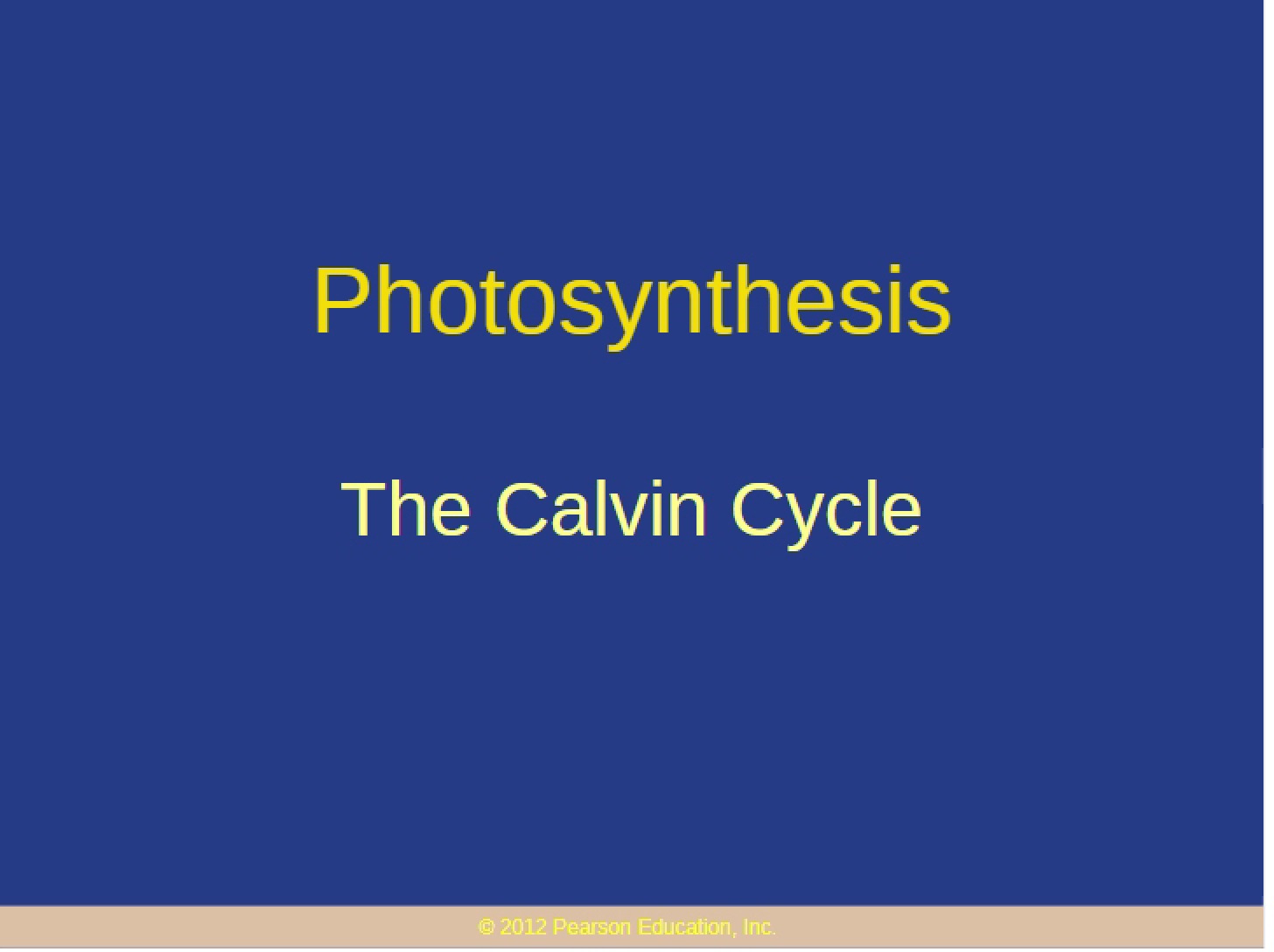 Calvin Cycle Overview