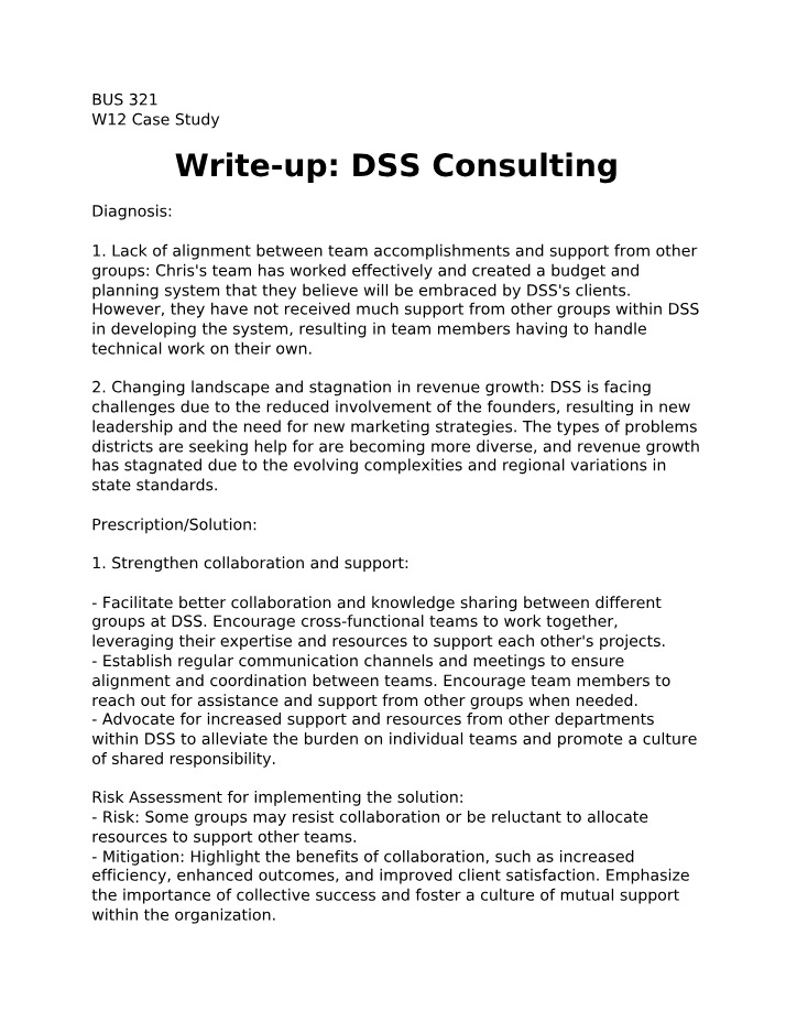 BUS 321 - DSS Consulting Write-up