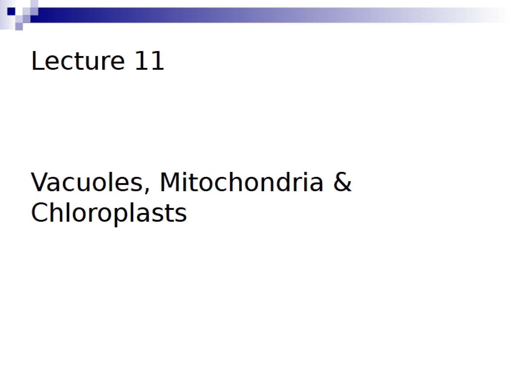 Chloroplasts, Mitochondria, and Vacuoles Lecture 11
