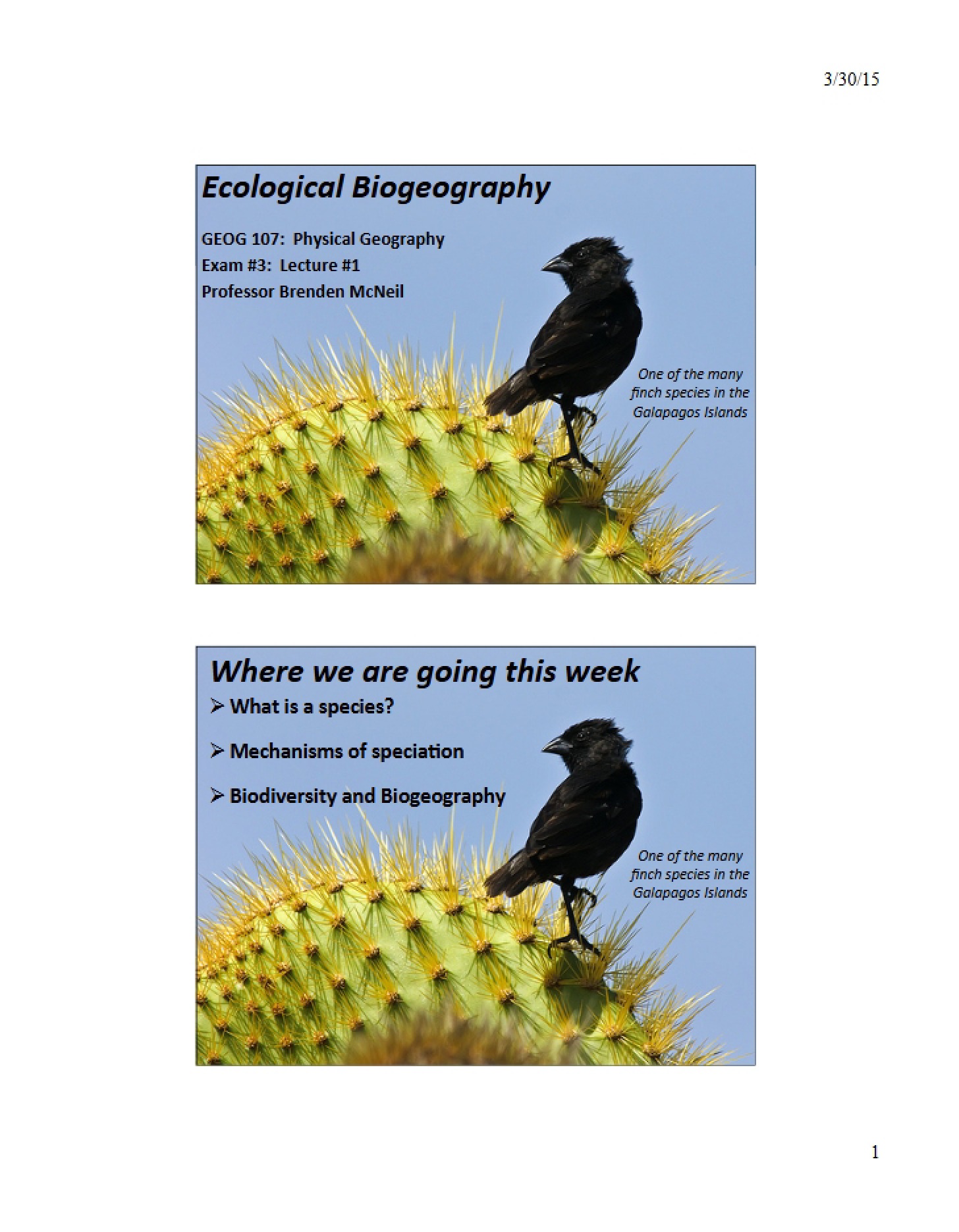 Ecological Biogeography Part One Exam Three Lecture One