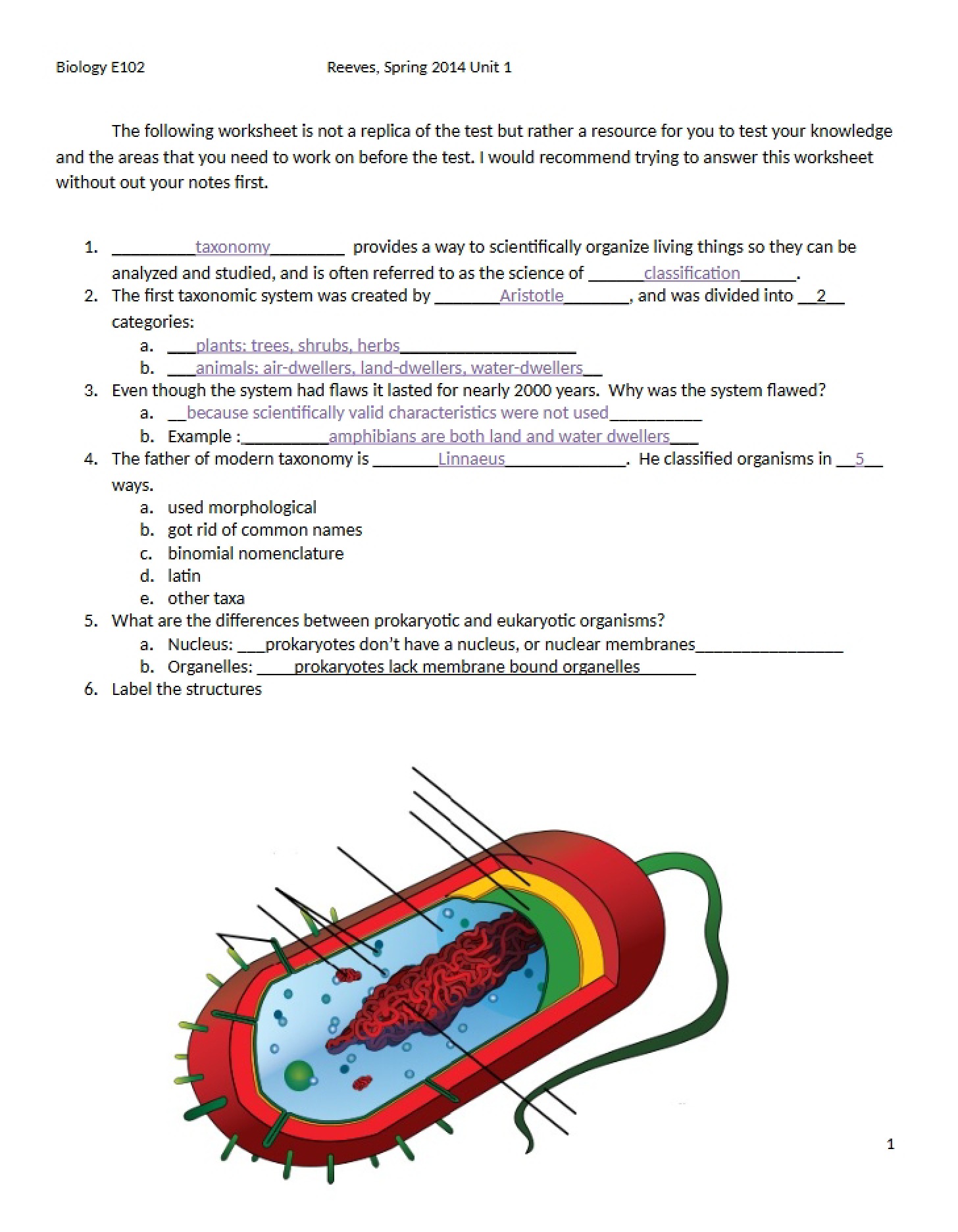 Worksheets for Unit One