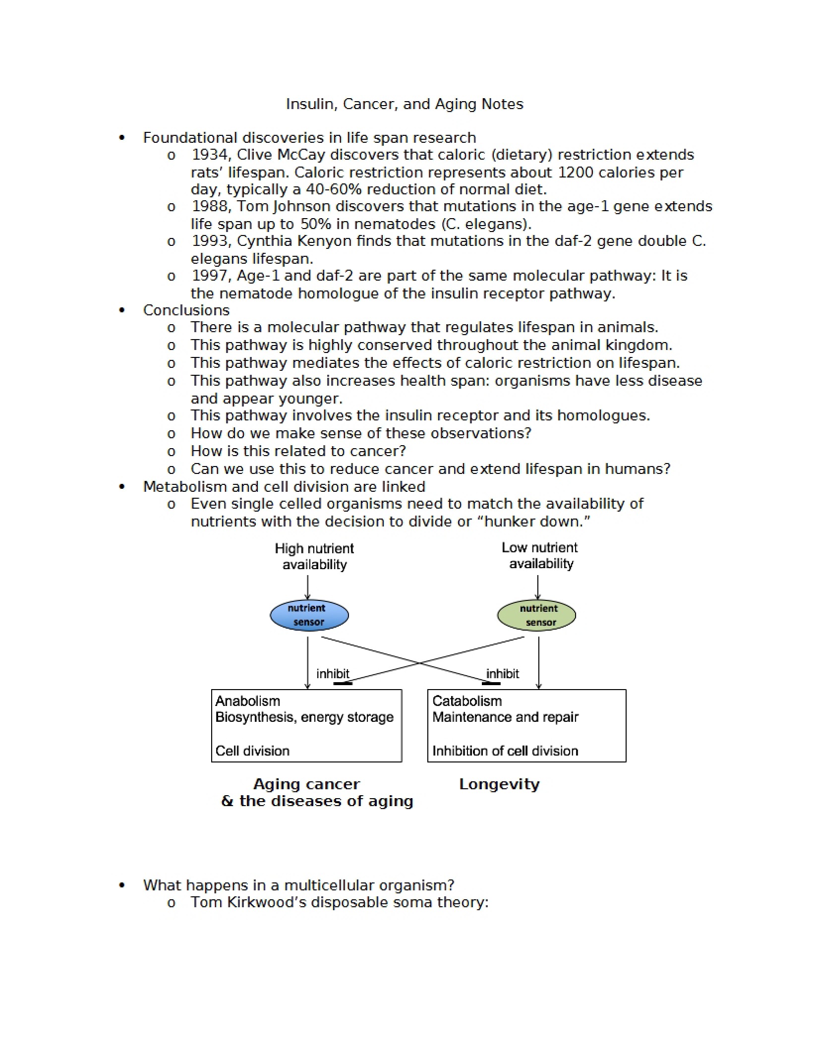 Notes on Aging, Cancer, and Insulin