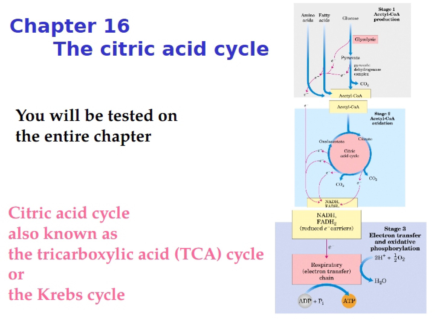 Lecture Notes (7, 23)