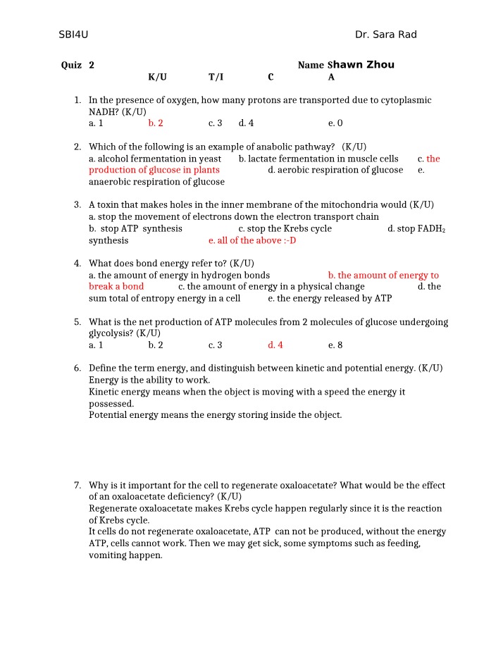 Cellular Respiration and Energy Production - Quiz 2