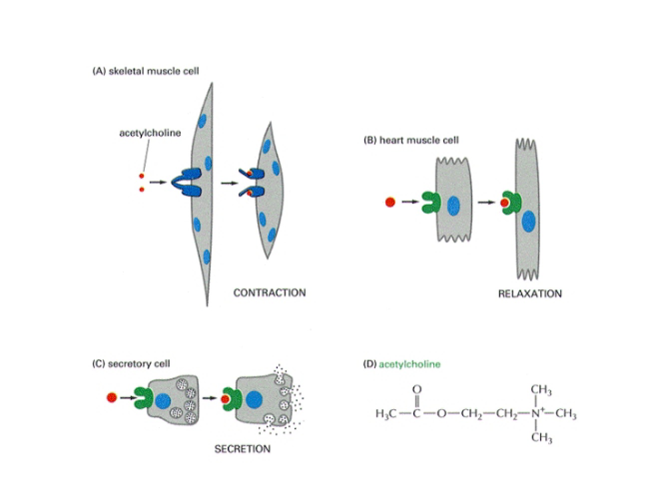 Figures for Signaling