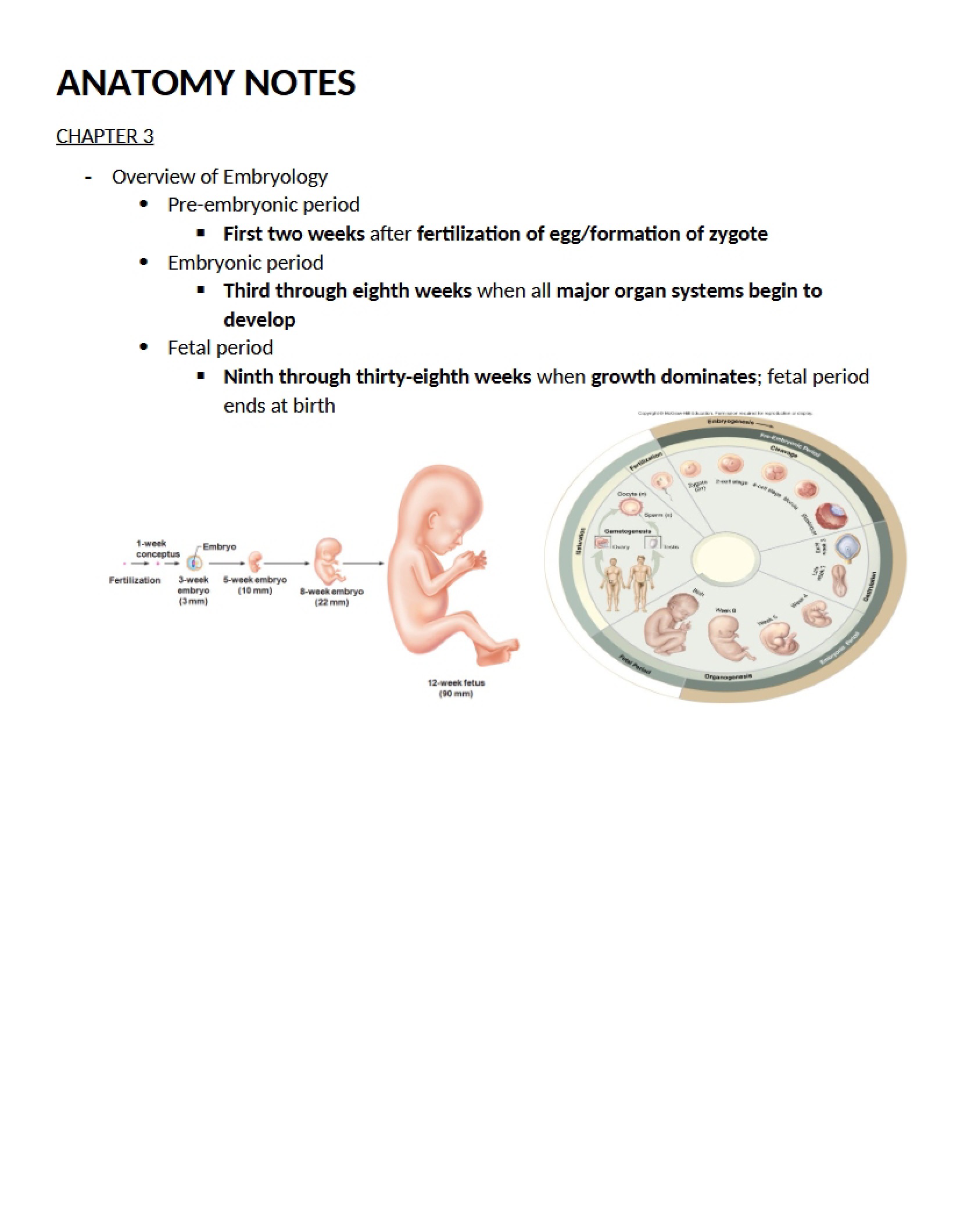 Anatomy Lecture Notes