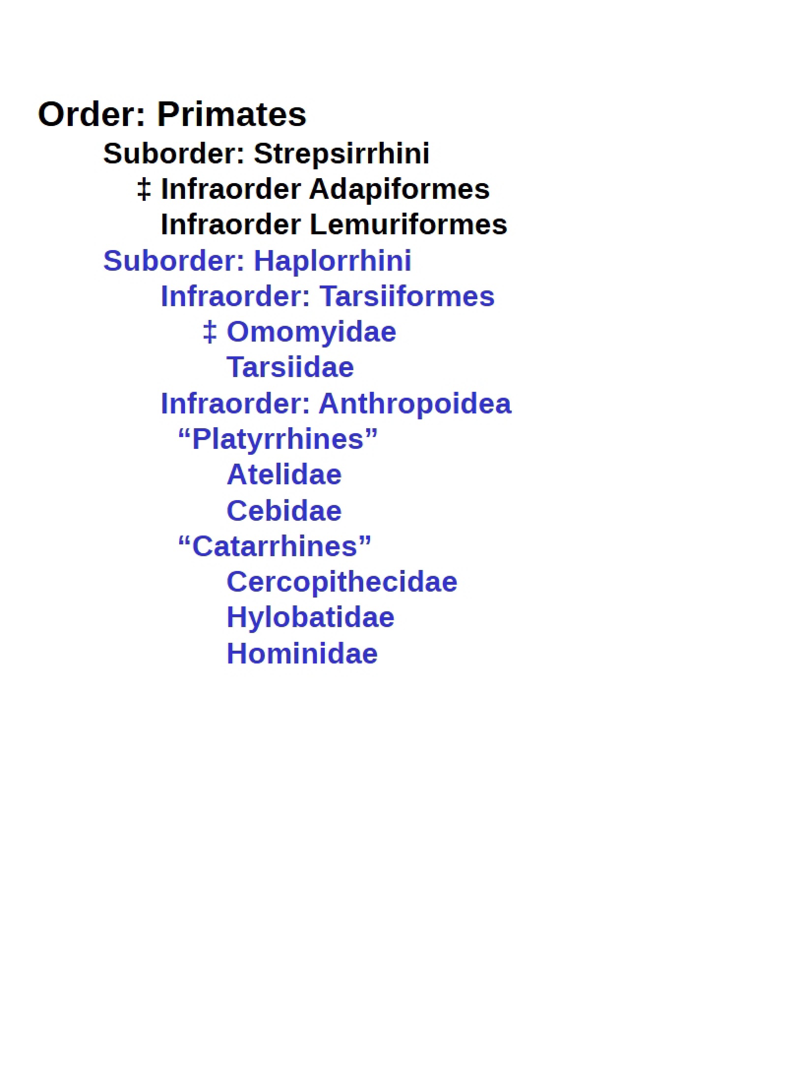 Overview of Primates