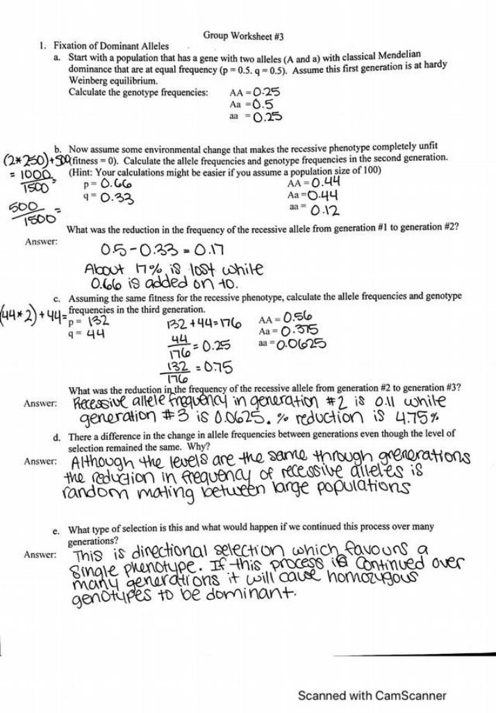 Exploring Alleles and Dominant Allele Fixation
