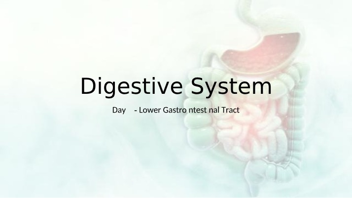 Digestive System - Lower Gastrointestinal Tract (Day 3)