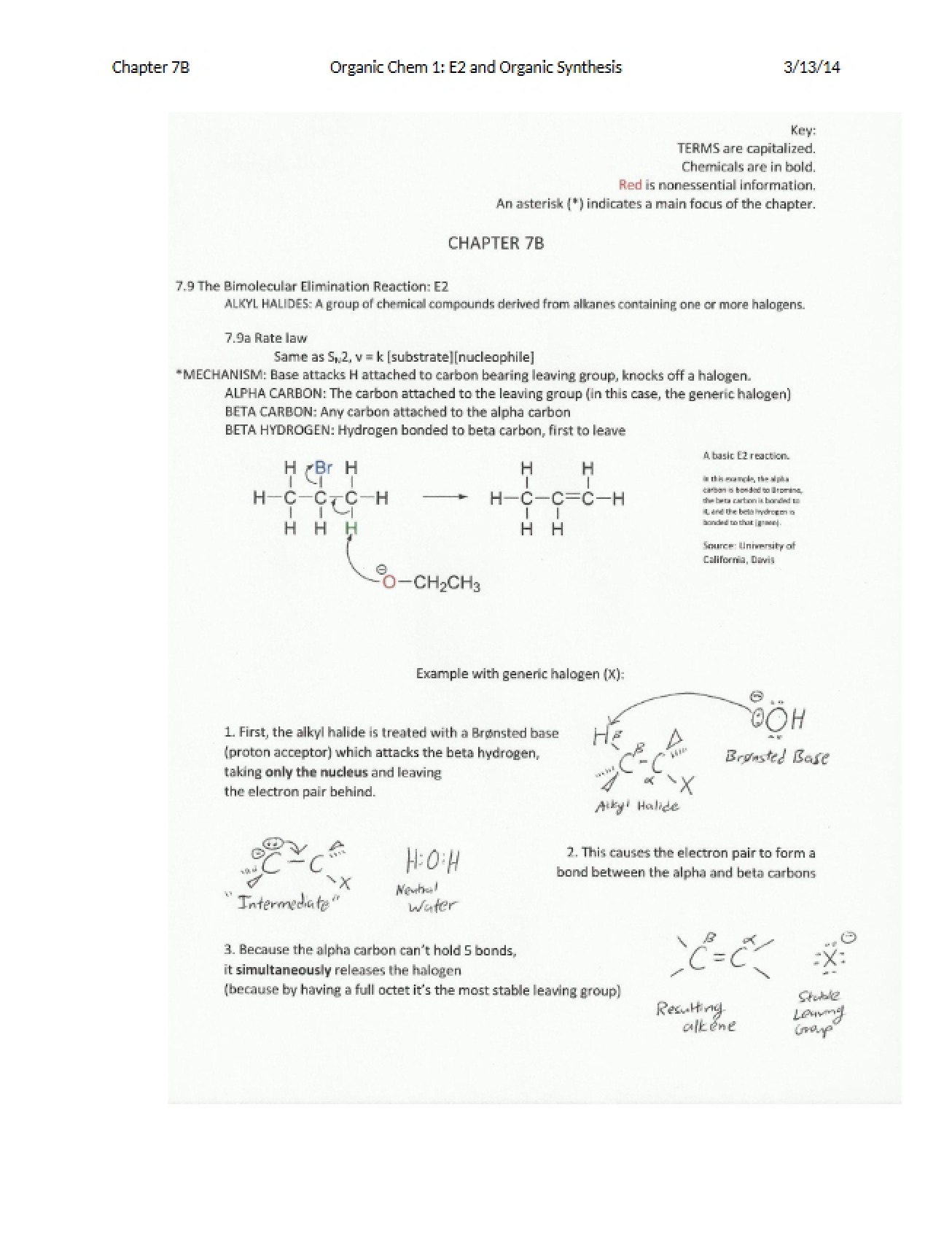Overview of E2 Reactions and Organic Synthesis