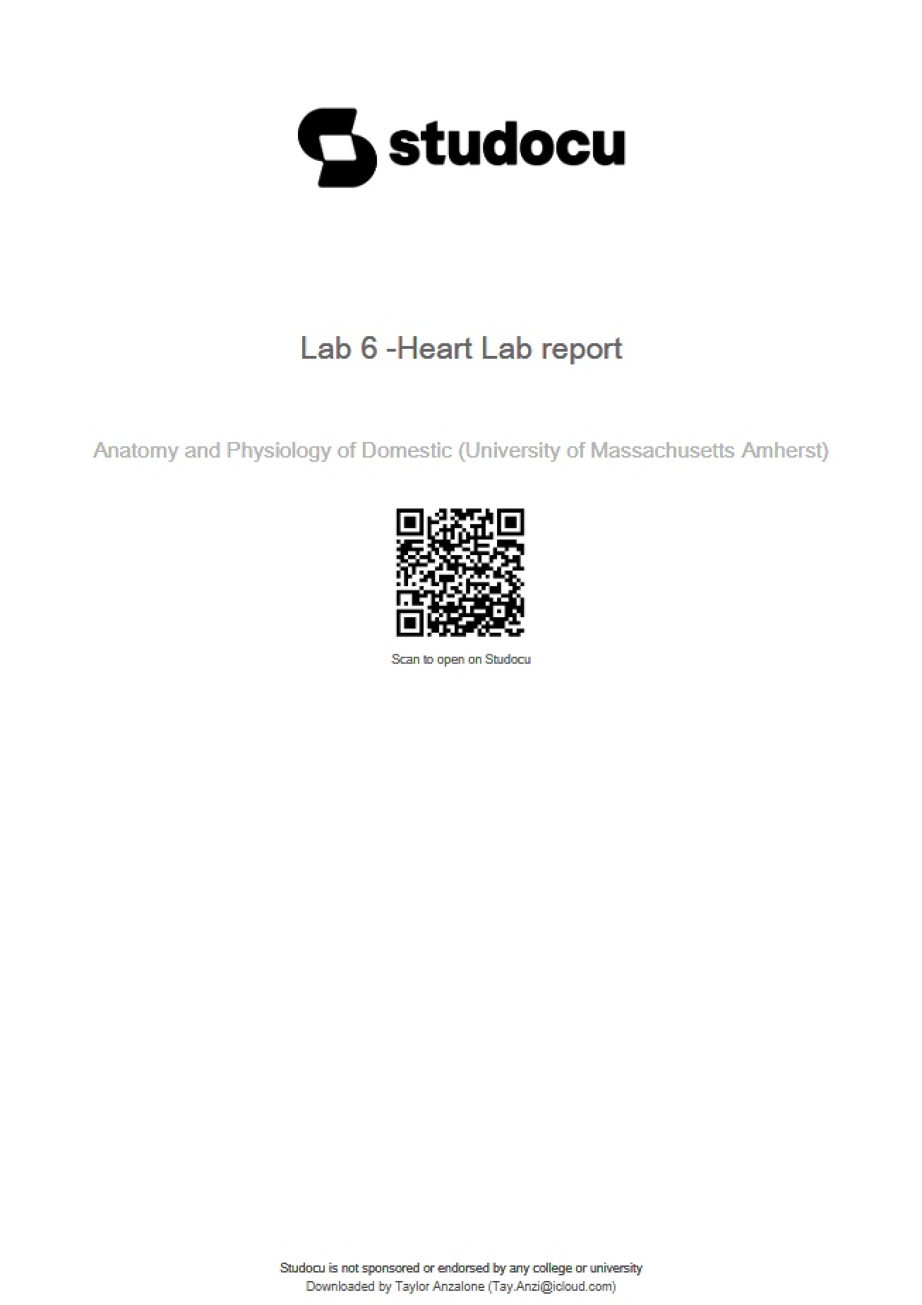 Heart Anatomy Lab Six