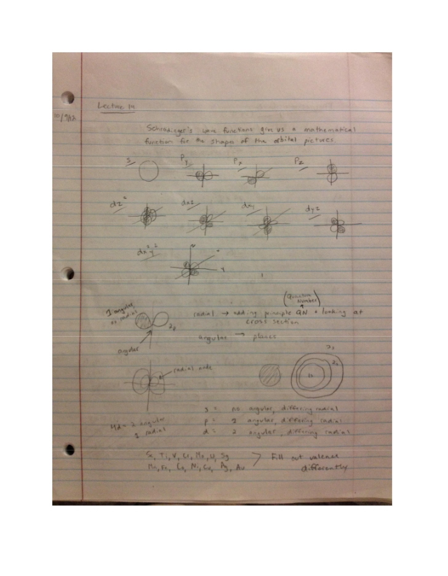 Study Notes