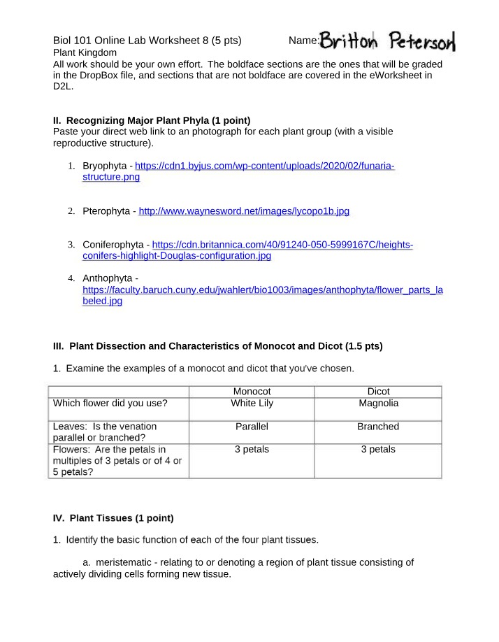 BIOL 101 - Plant Kingdom