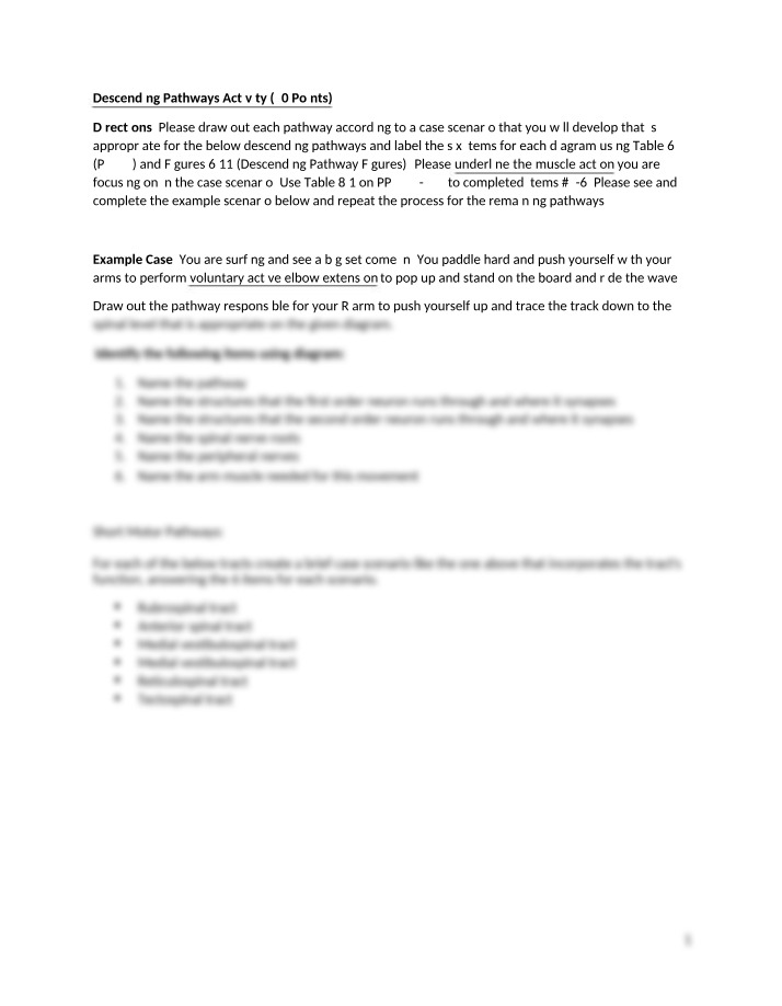 Activity for Descending Pathways