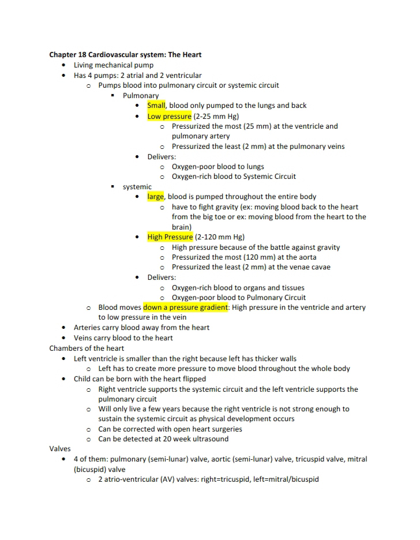 Cardiovascular System Overview