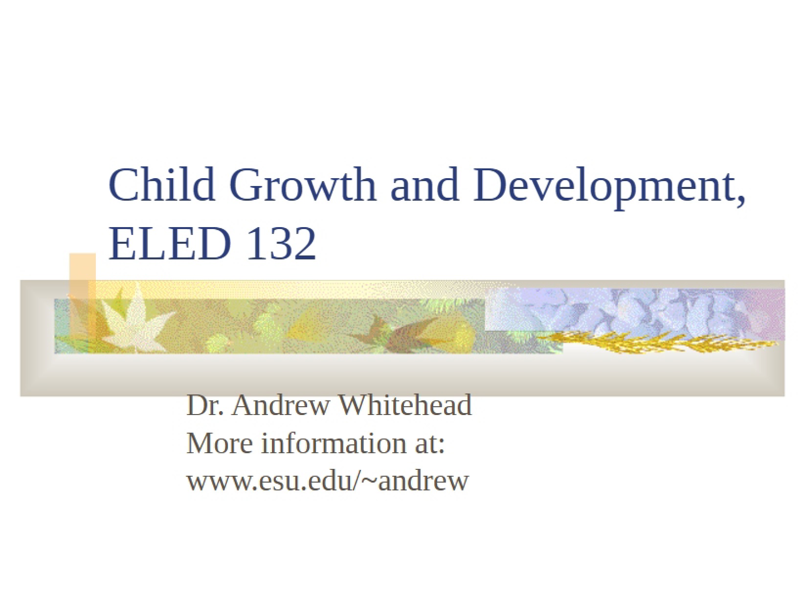 Language Development Theoretical Perspectives