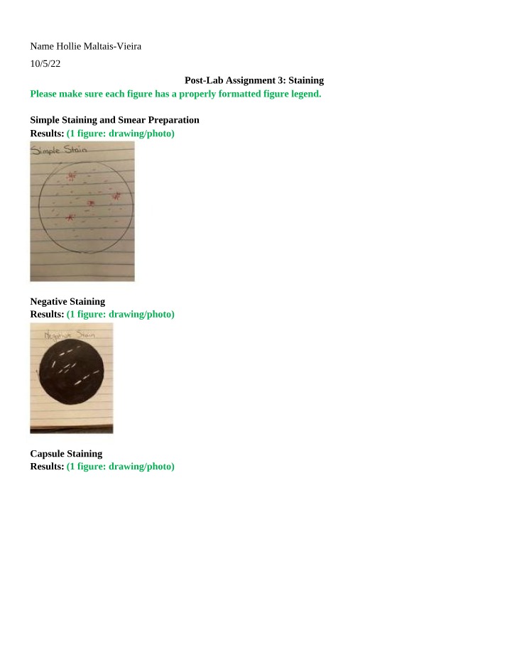 Post Lab Assignment 3 on Staining