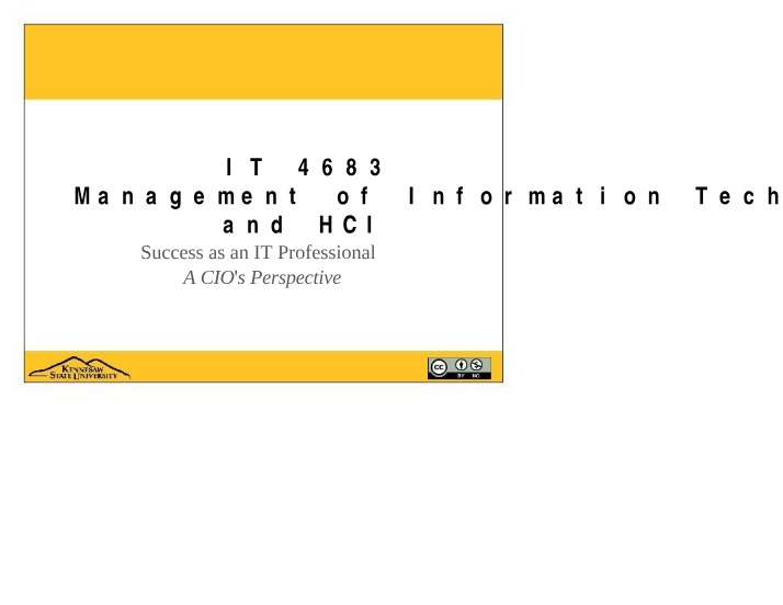 Success as an IT Professional - A CIO Perspective