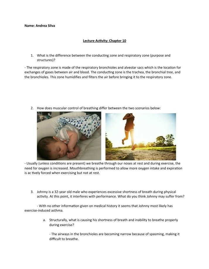 Differences Between the Conducting and Respiratory Zones