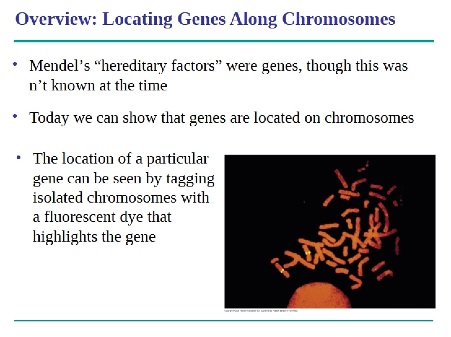 Inheritance Chromosomal Basis (Ch 15)