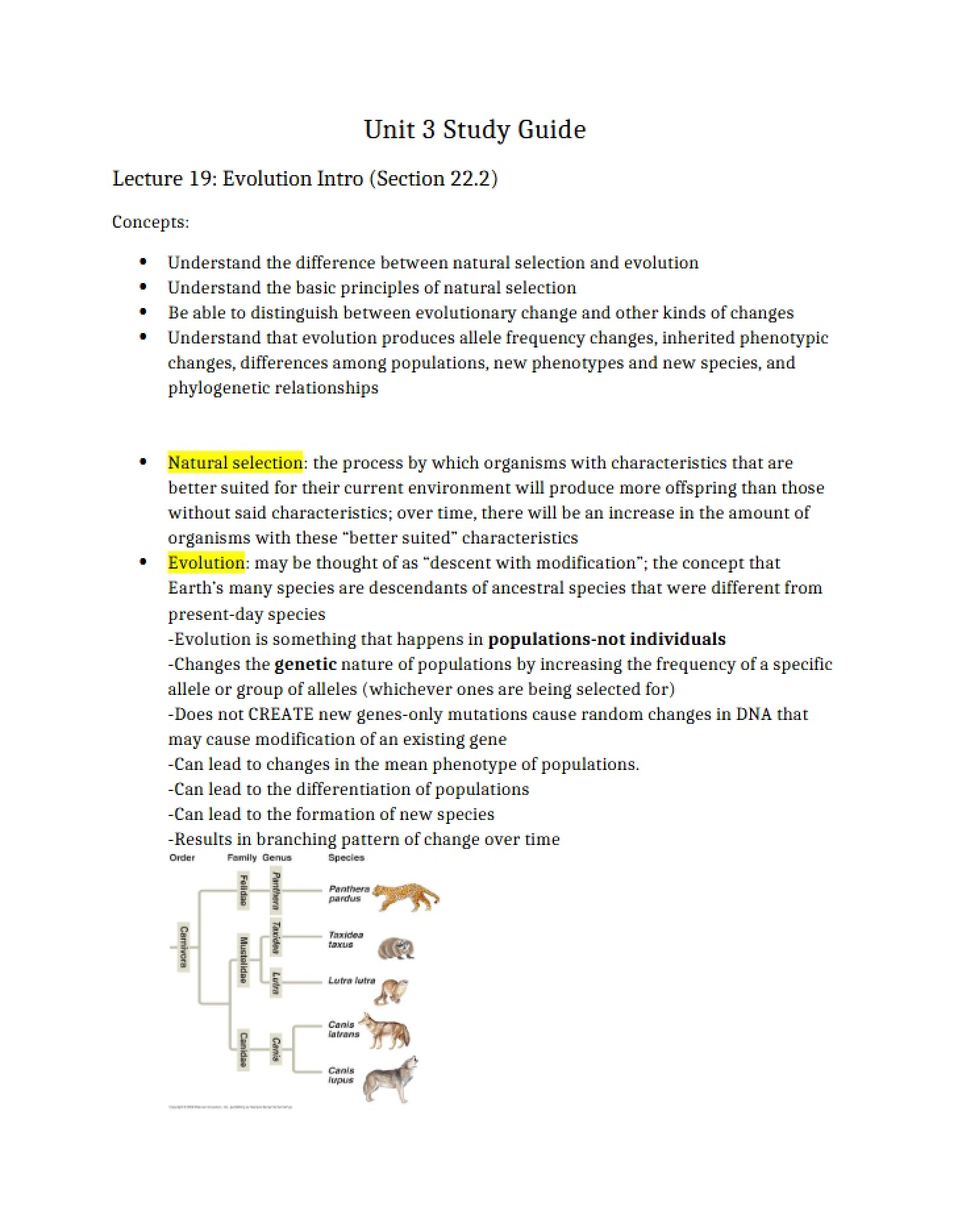 Evolutionary Theory Lecture 19