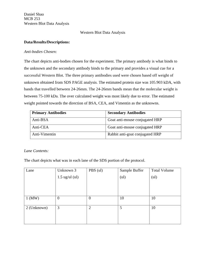 Western Blot Analysis for Bovine Serum Albumin Identification