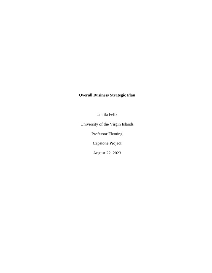 Plan for Overall Business Strategy