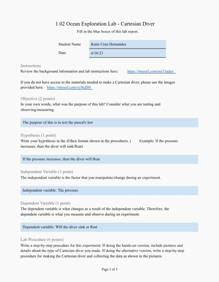 Ocean Exploration Cartesian Diver Lab Report