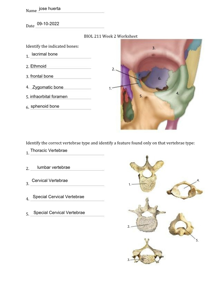 BIO 211 - Week 2 Worksheet