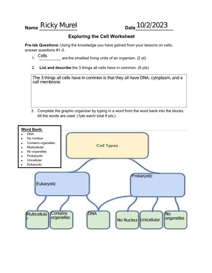 Common Characteristics of the Cell Worksheet