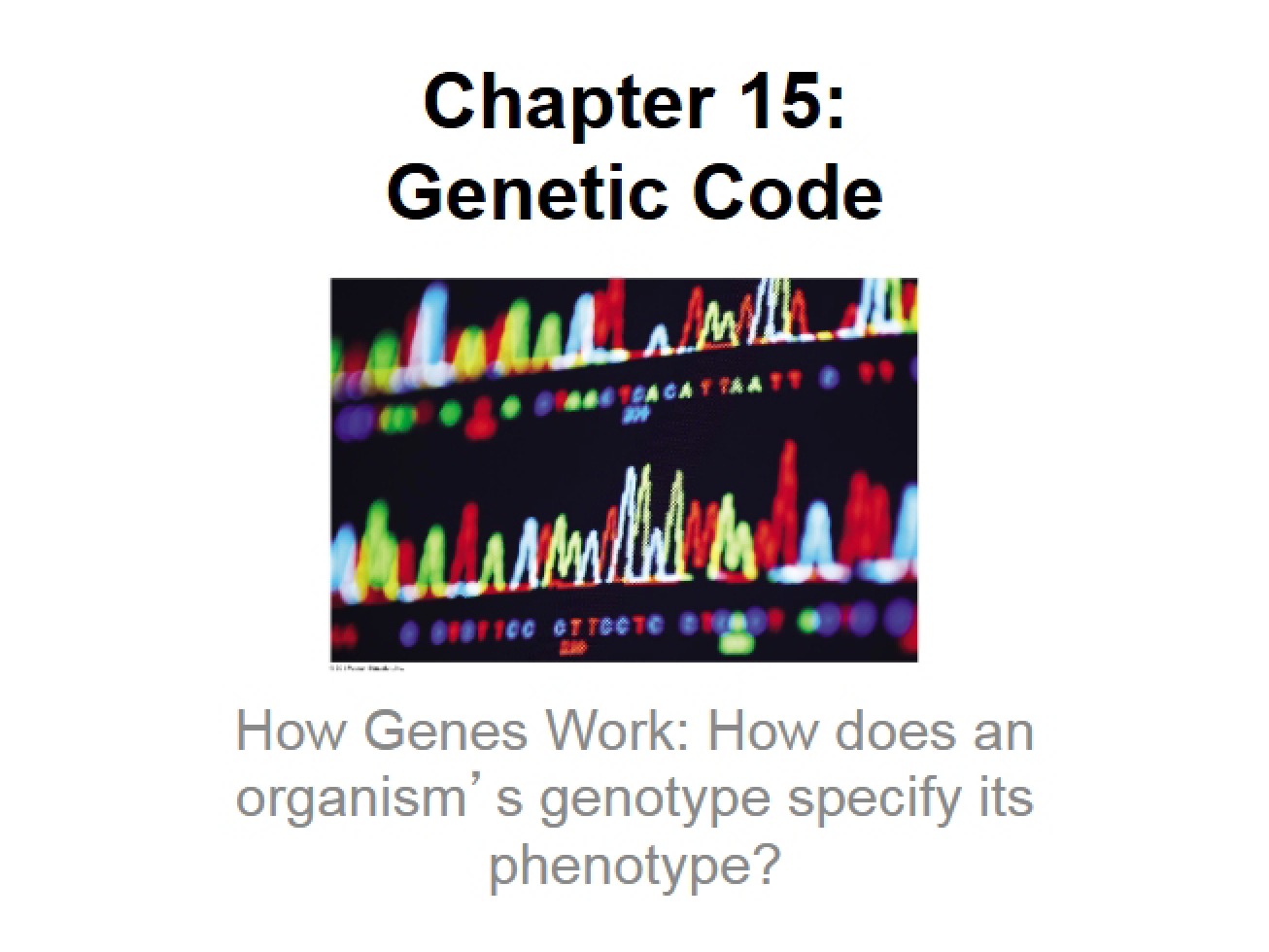 Student Lecture 23 Genetic Code