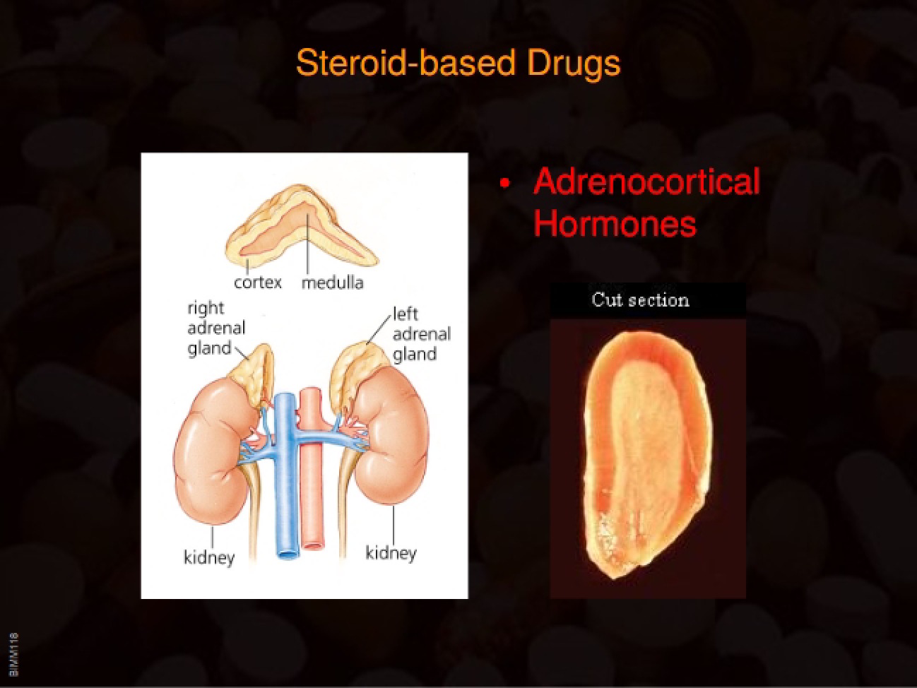 Pharmacology Presentation Twelve