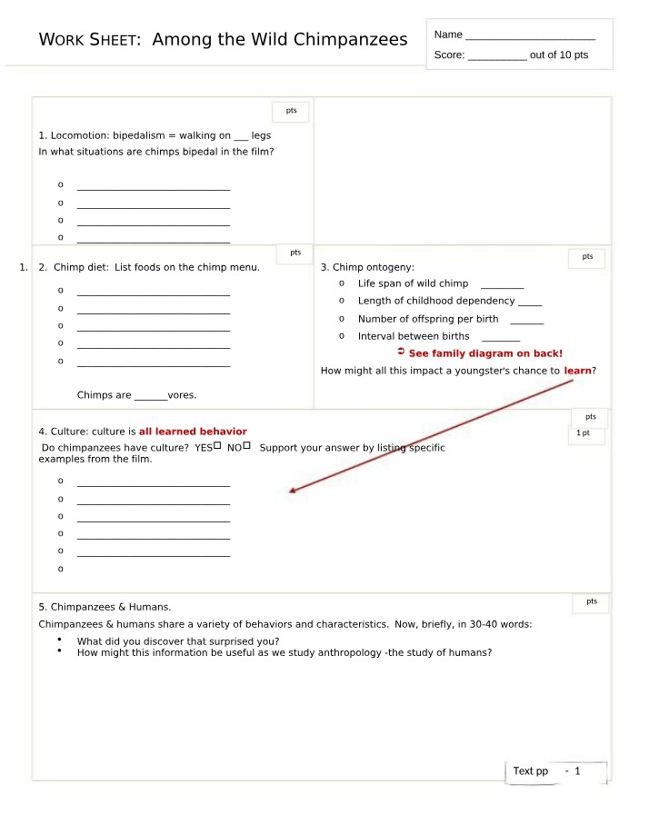 Among the Wild Chimpanzees Worksheet