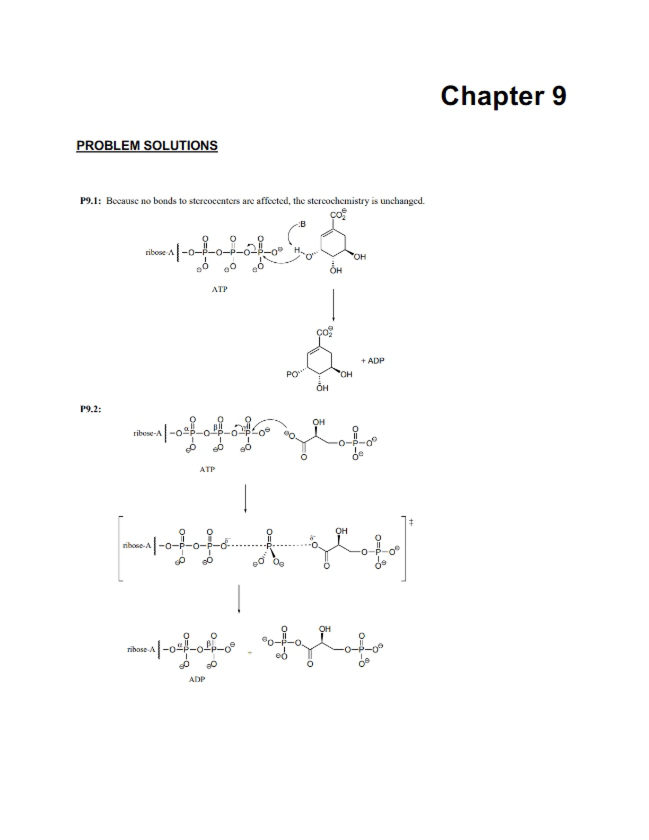 Ninth Biochemistry Course Chapter