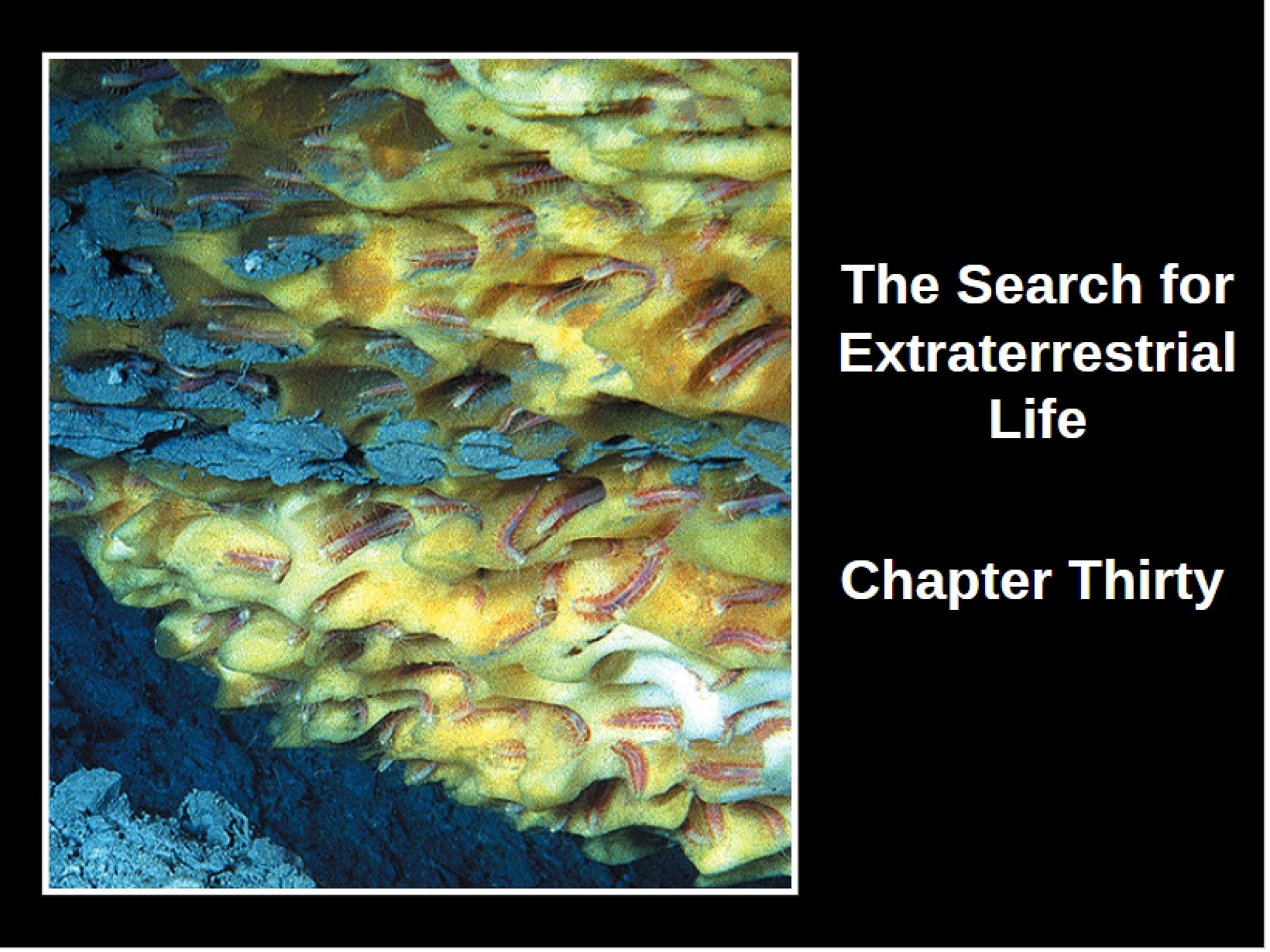 Extraterrestrial Life Search