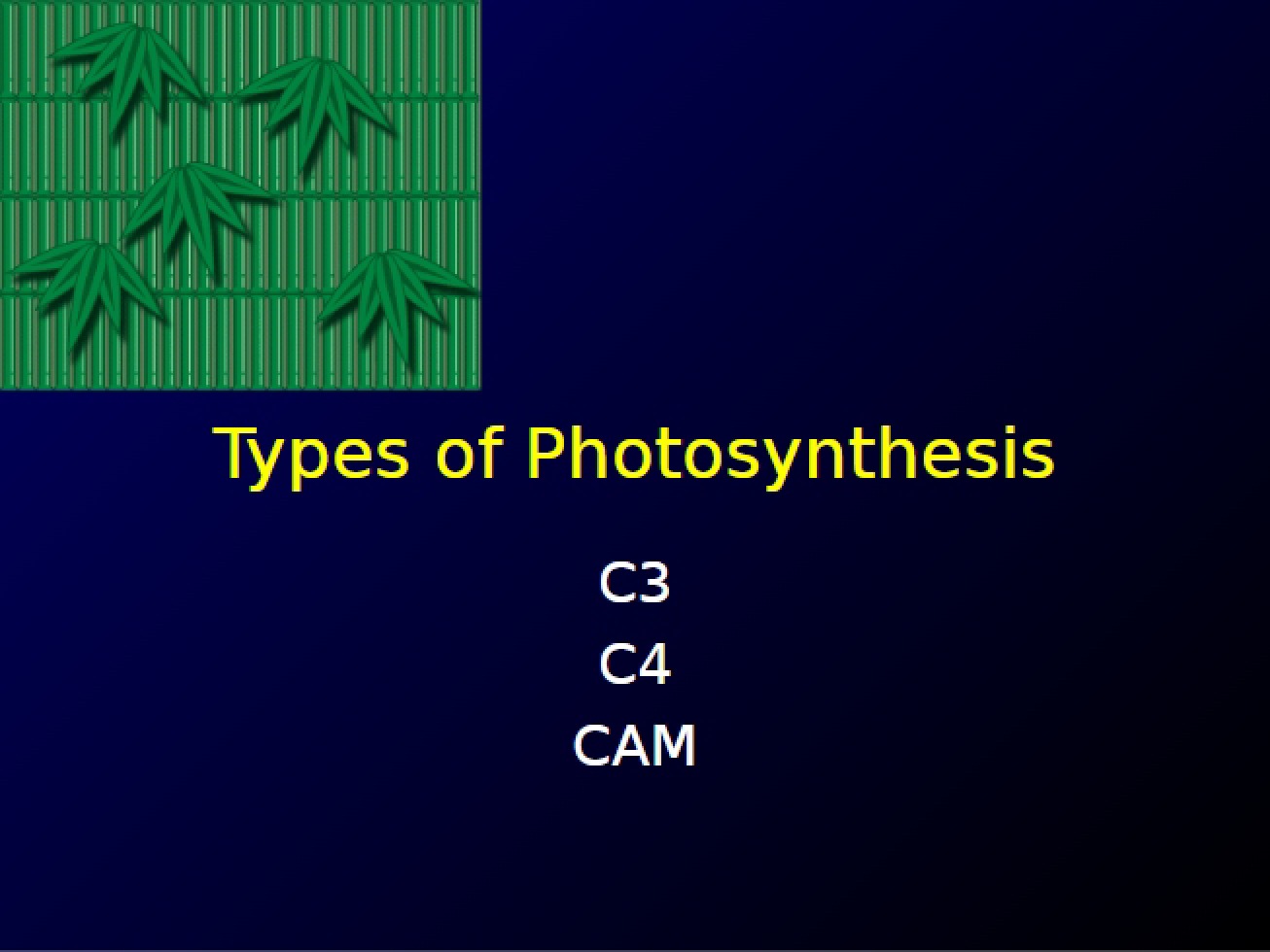Introduction to the Various Types of Photosynthesis
