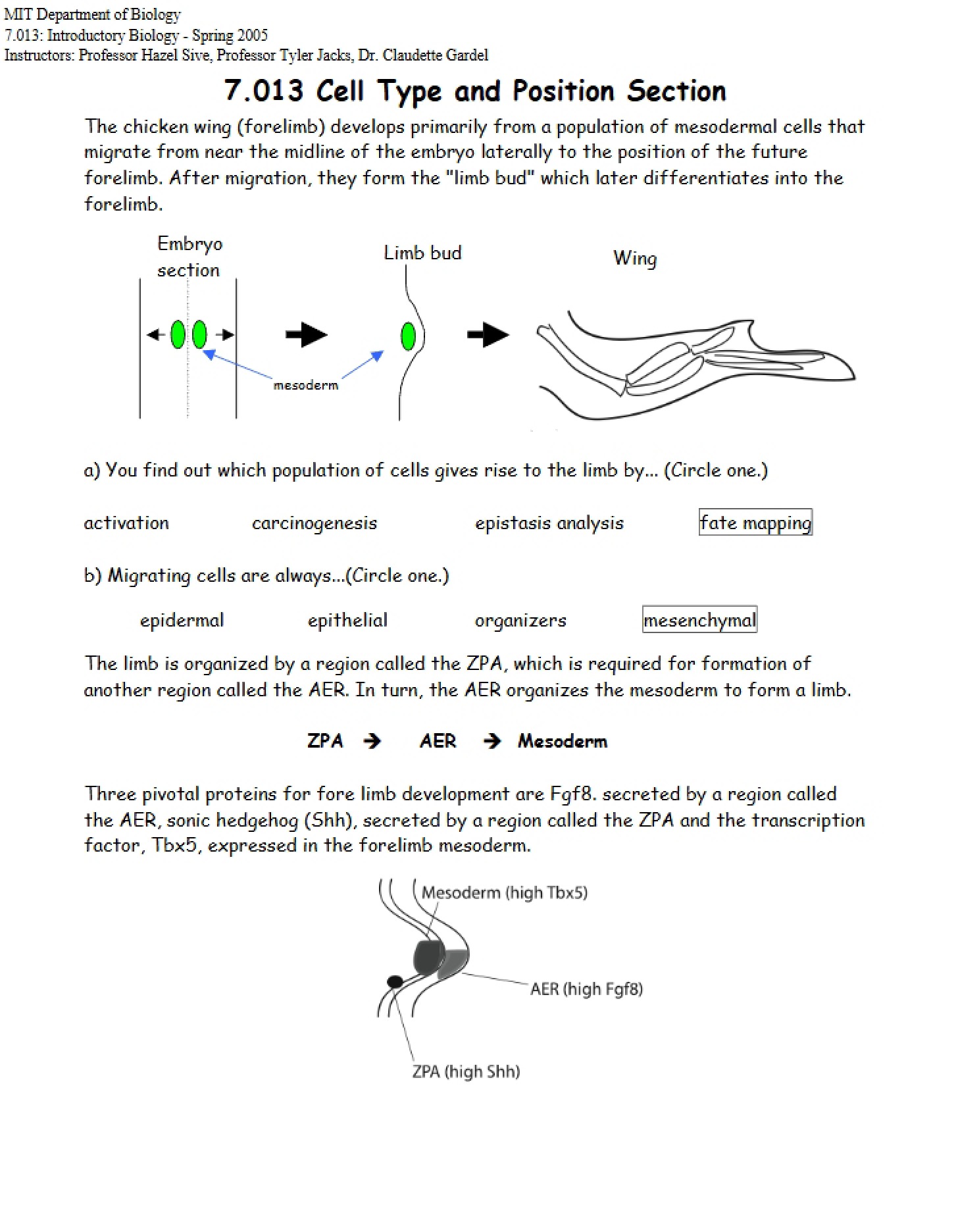 Section on Position and Cell Type