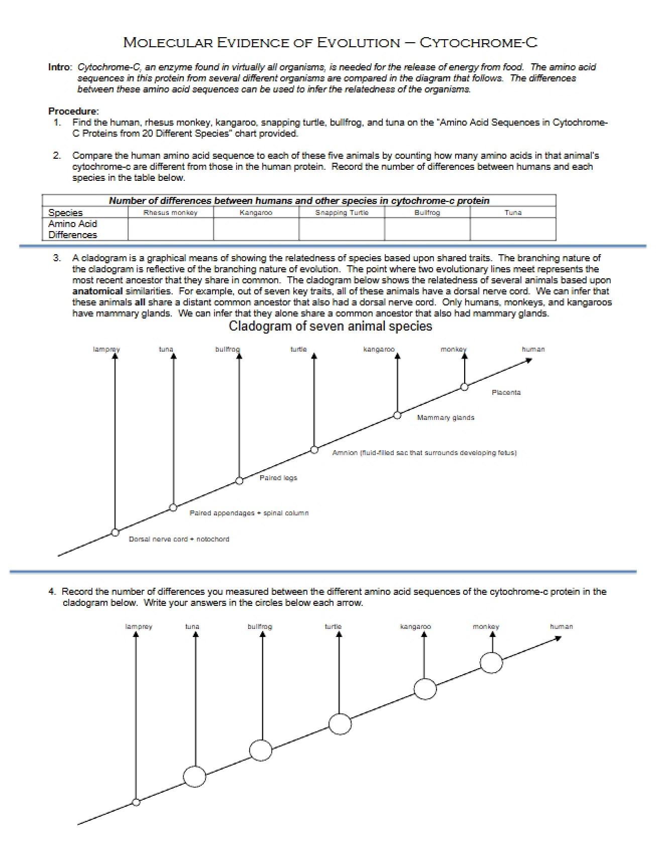 Evolutionary Evidence Molecular